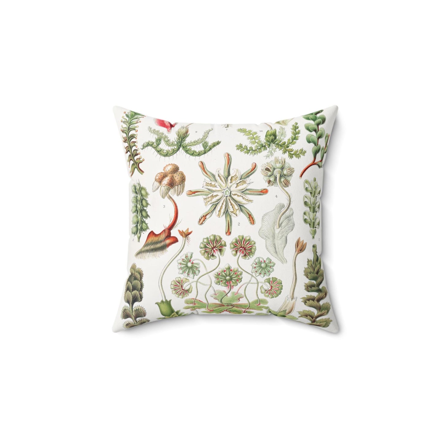 Pillow, Herbacious Succulent Botanical Illustration, Whimsical Home Decor, Nature Pillow Cover, Plant Lover Gift, Square Cushion