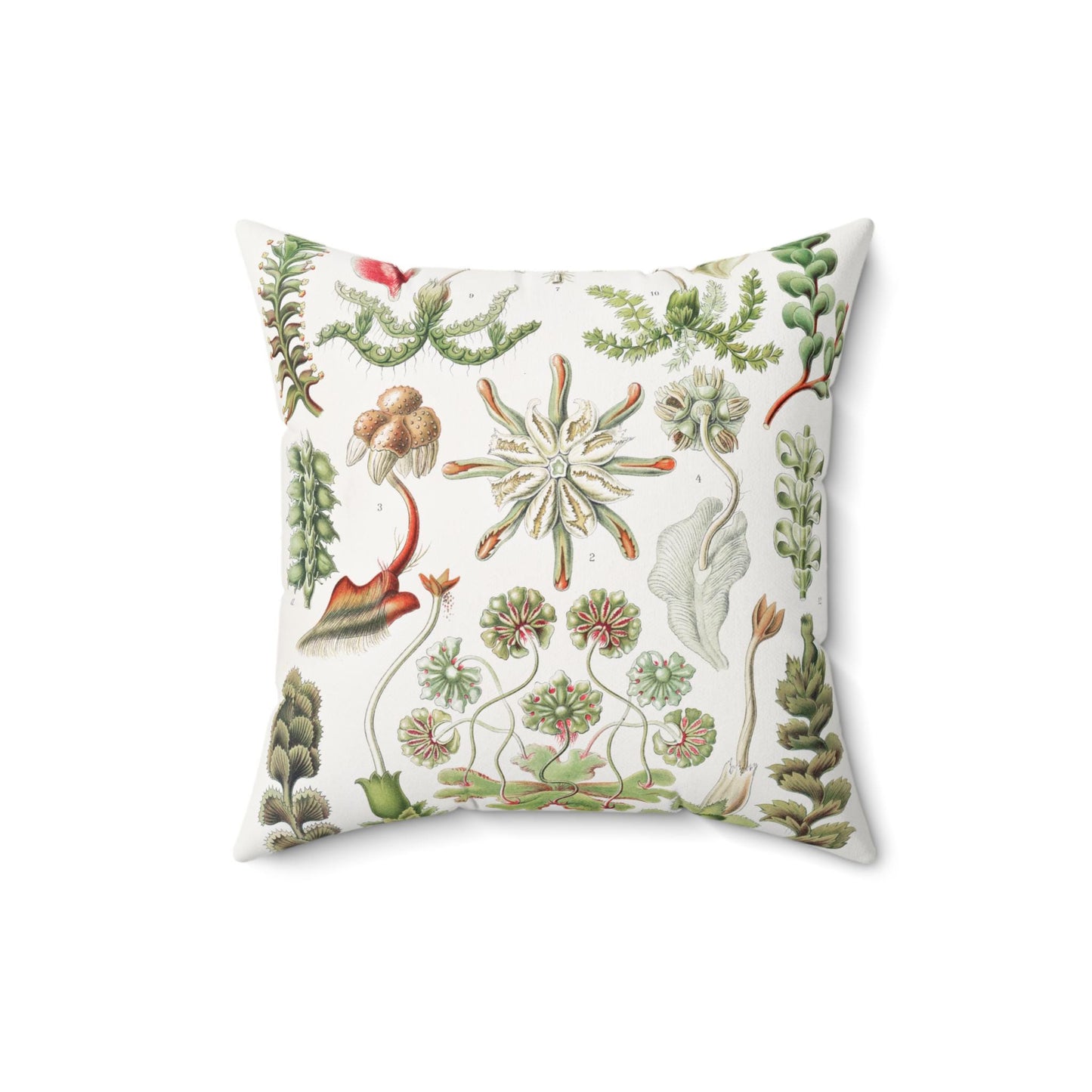 Pillow, Herbacious Succulent Botanical Illustration, Whimsical Home Decor, Nature Pillow Cover, Plant Lover Gift, Square Cushion