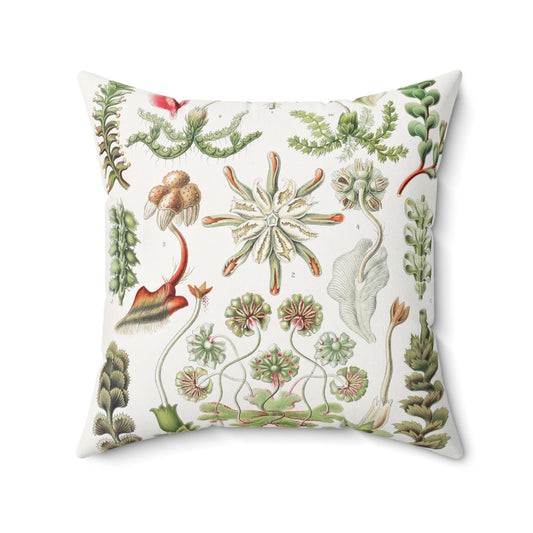 Pillow, Herbacious Succulent Botanical Illustration, Whimsical Home Decor, Nature Pillow Cover, Plant Lover Gift, Square Cushion