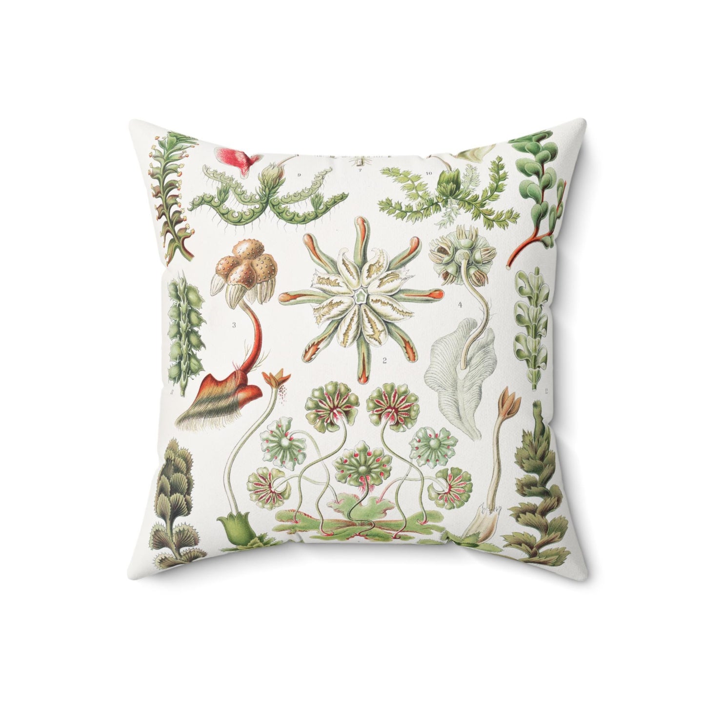 Pillow, Herbacious Succulent Botanical Illustration, Whimsical Home Decor, Nature Pillow Cover, Plant Lover Gift, Square Cushion