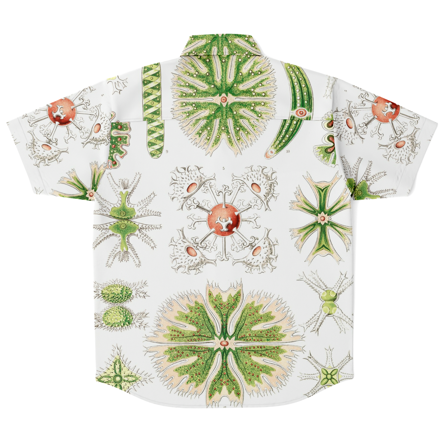 Men's Desmideia Botanical Button-Down Shirt