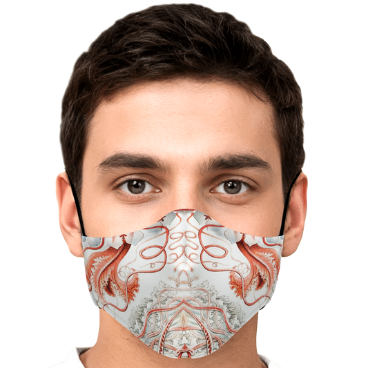 Jellyfish Botanical Face Masks