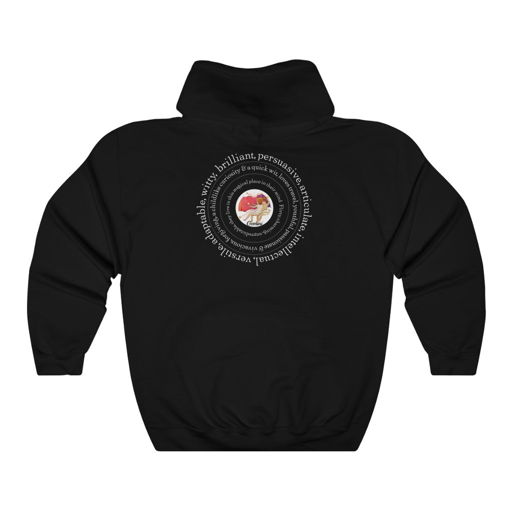 Around Gemini Unisex Heavy Blend™ Hooded Sweatshirt