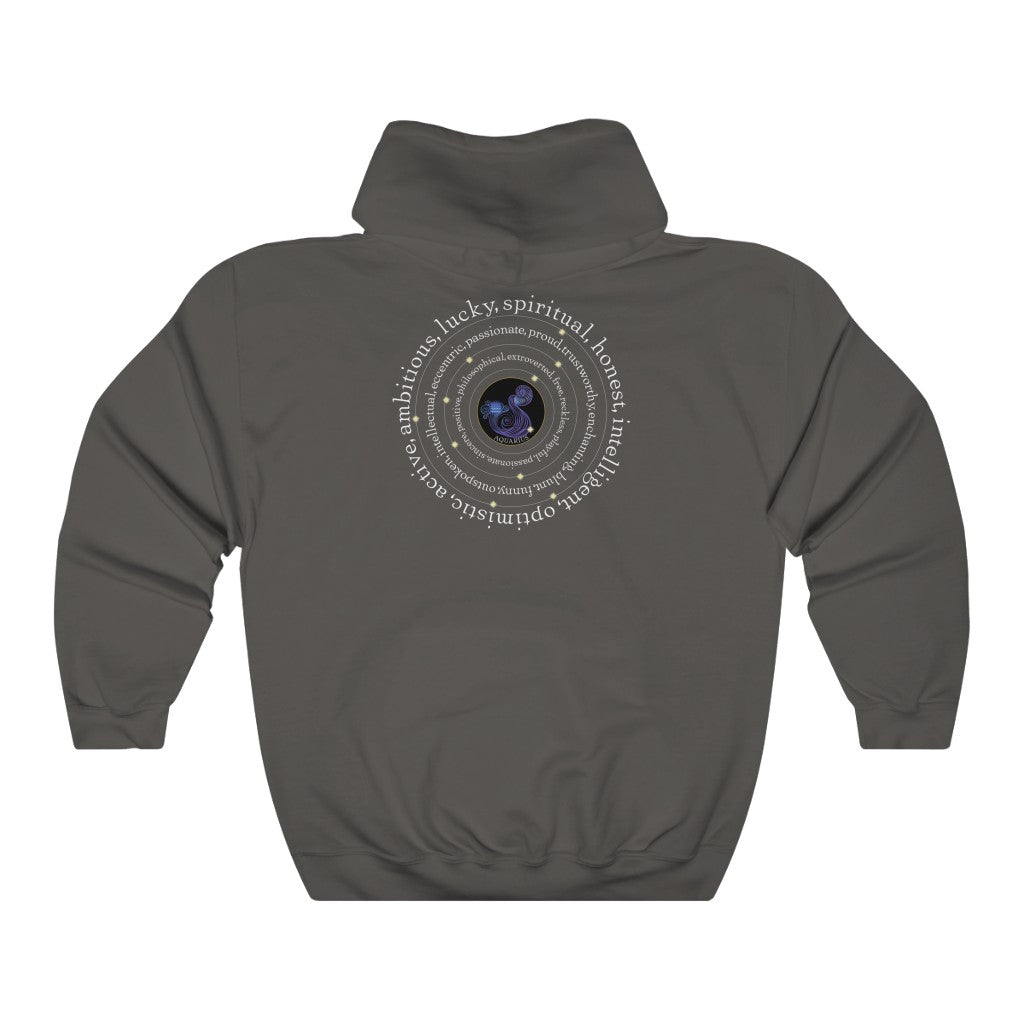 Around Aquarius Unisex Heavy Blend™ Hooded Sweatshirt
