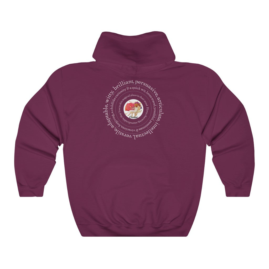 Around Gemini Unisex Heavy Blend™ Hooded Sweatshirt