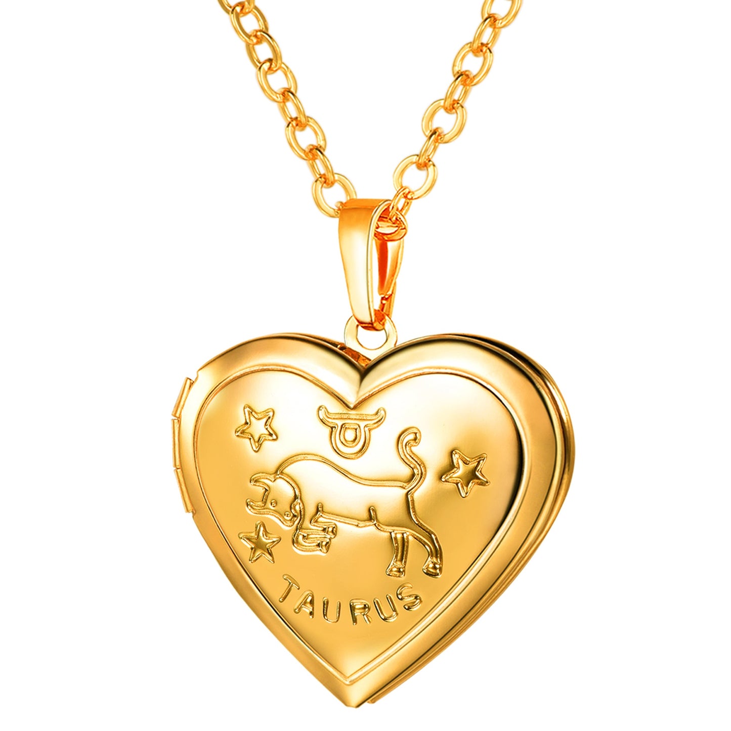 Zodiac Memory Heart Locket