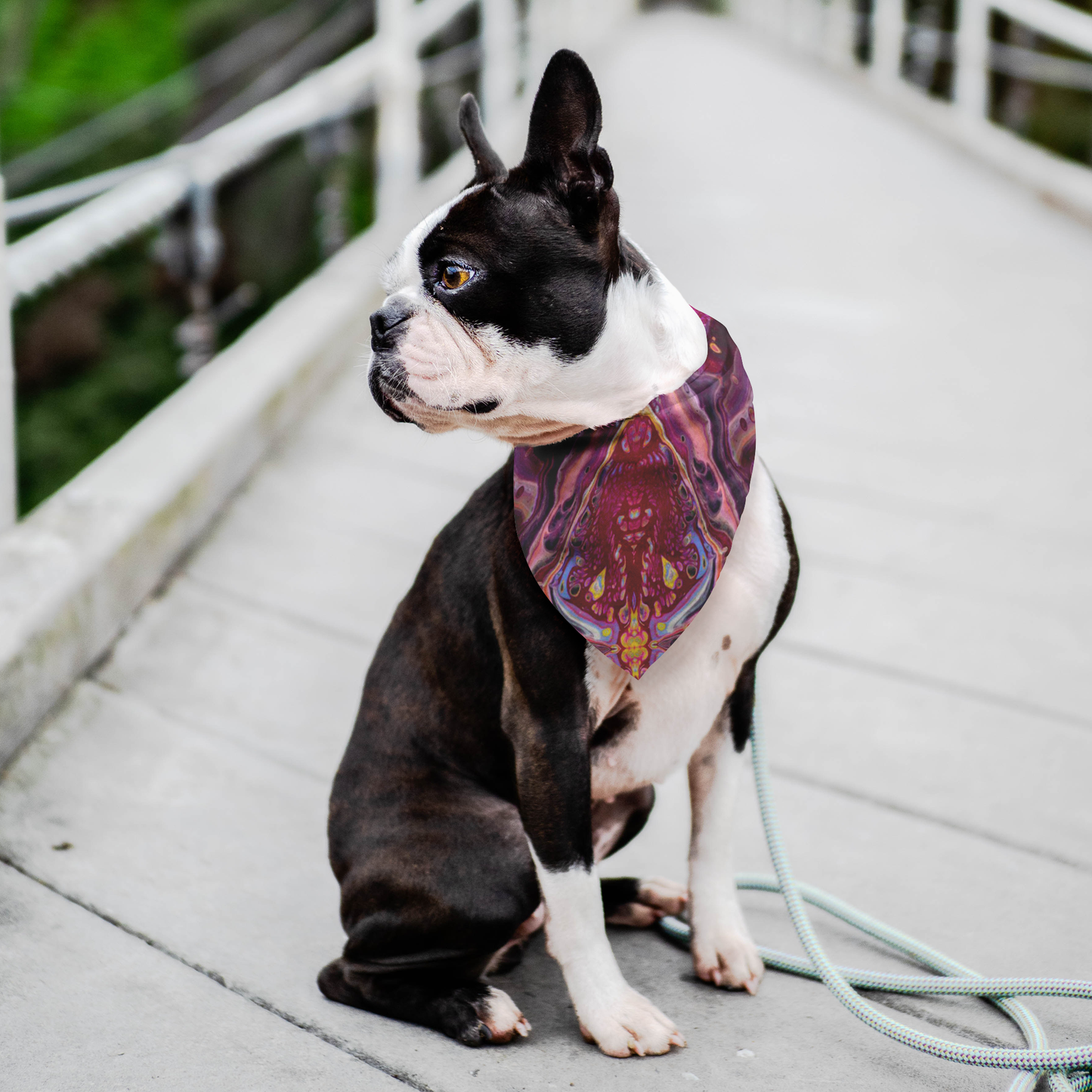 Crimson River Dog Bandana