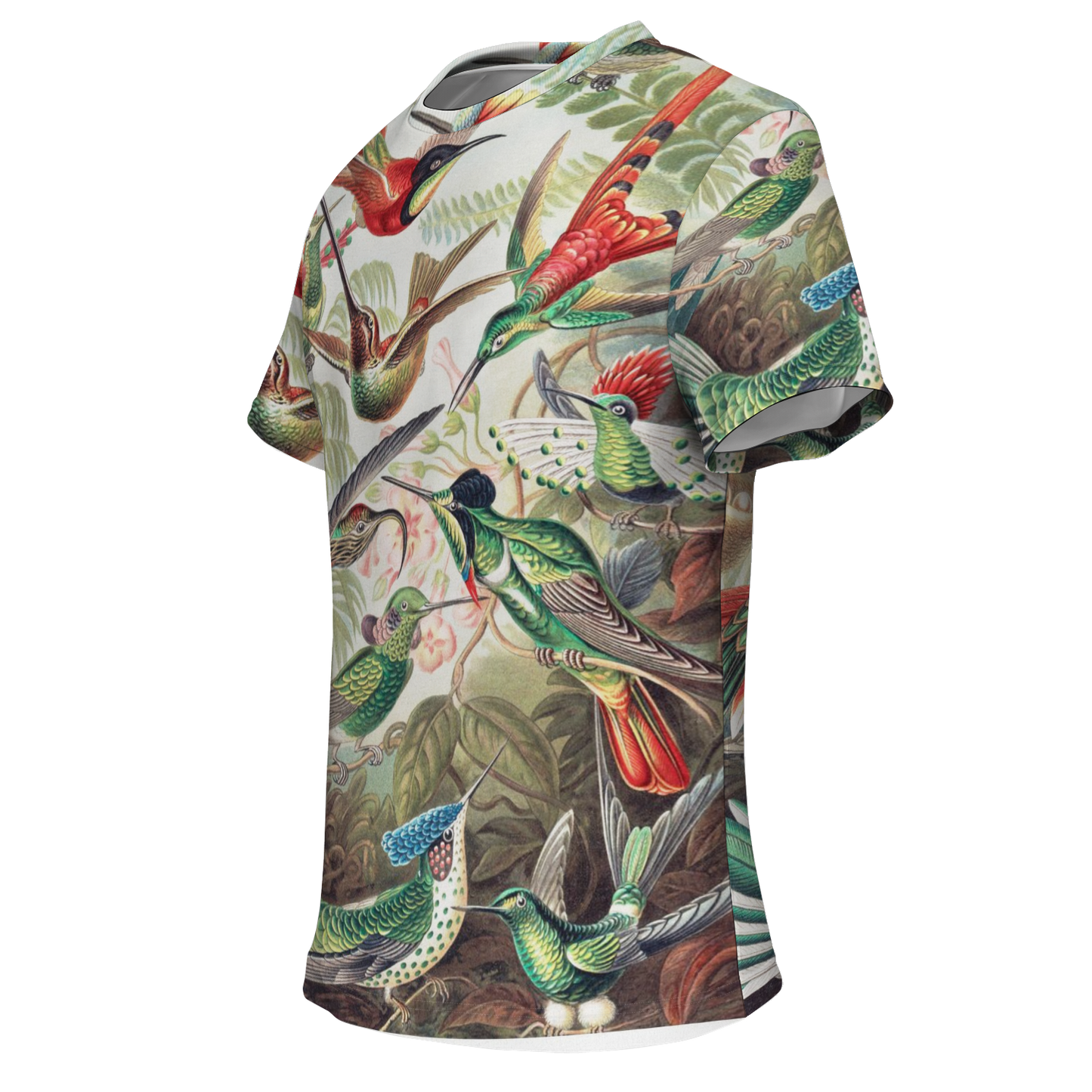 Men's Hummingbird T Shirt