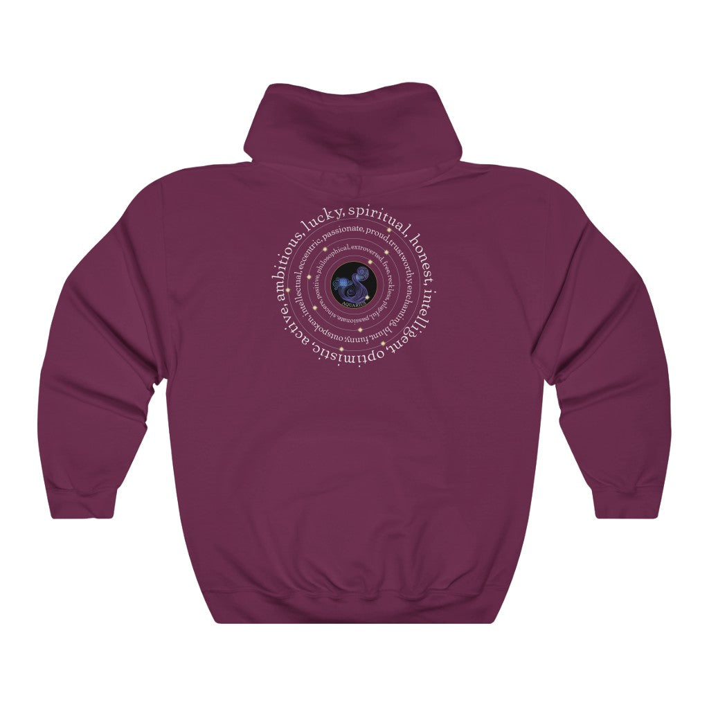 Around Aquarius Unisex Heavy Blend™ Hooded Sweatshirt